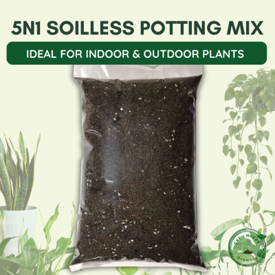 5n1 Soilless Potting Mix – ready-to-use soil-free blend by Cebu Happy Growers for cactus, succulents, and indoor plants