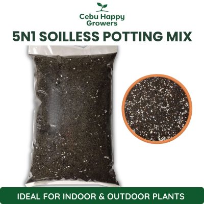 5n1 Soilless Potting Mix – ready-to-use soil-free blend by Cebu Happy Growers for cactus, succulents, and indoor plants