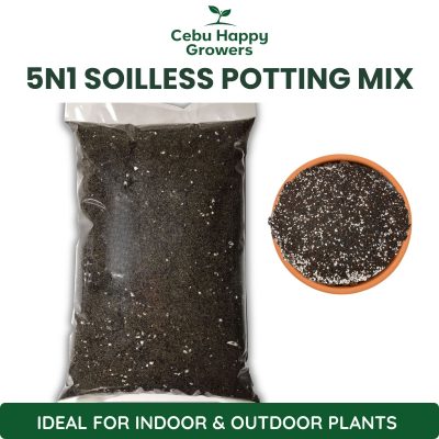 5n1 Soilless Potting Mix – ready-to-use soil-free blend by Cebu Happy Growers for cactus, succulents, and indoor plants