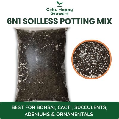 6n1 Soilless Potting Mix – premium soil-free blend by Cebu Happy Growers for bonsai, succulents, adenium, and ornamental plants