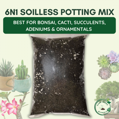 6n1 Soilless Potting Mix – premium soil-free blend by Cebu Happy Growers for bonsai, succulents, adenium, and ornamental plants