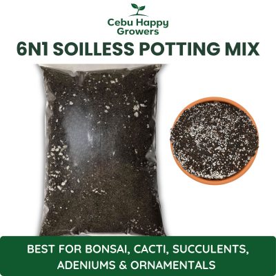 6n1 Soilless Potting Mix – premium soil-free blend by Cebu Happy Growers for bonsai, succulents, adenium, and ornamental plants