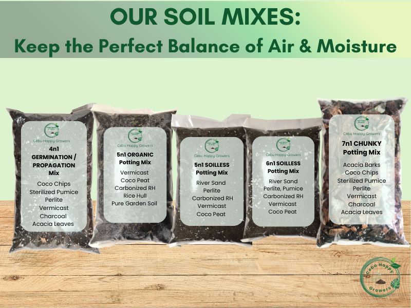 Cebu Happy Growers soil product lineup including 4-in-1 Germination Mix, 5-in-1 Potting Mixes, 6-in-1 Soilless, 7-in-1 Chunky Mix, and Vermicast