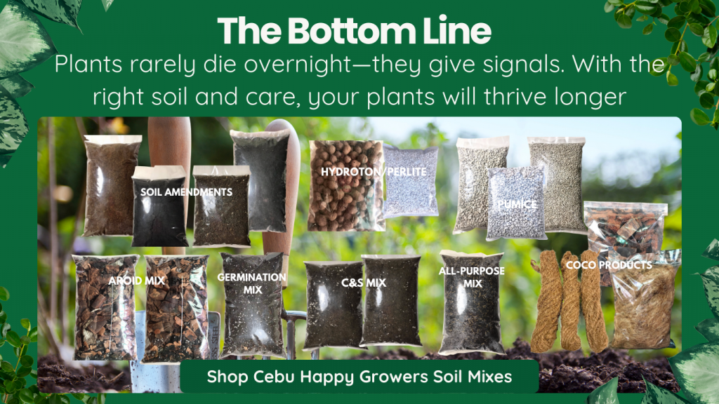 Cebu Happy Growers soil mixes display with text about proper plant care and longer plant life