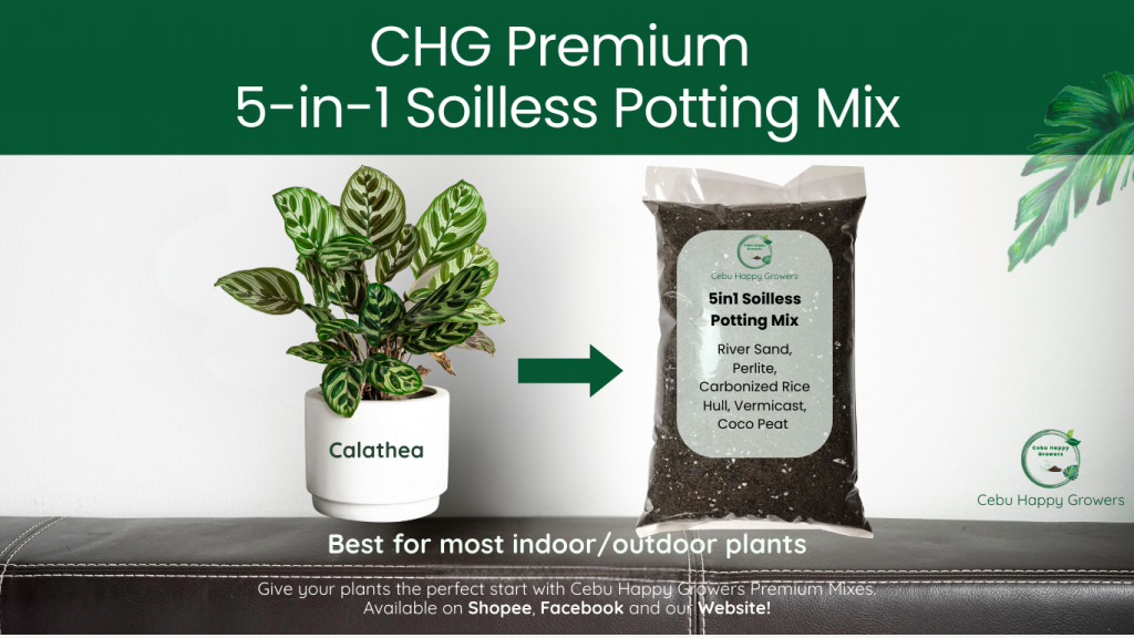 Cebu Happy Growers premium 5-in-1 soilless potting mix bag for indoor and outdoor plants.