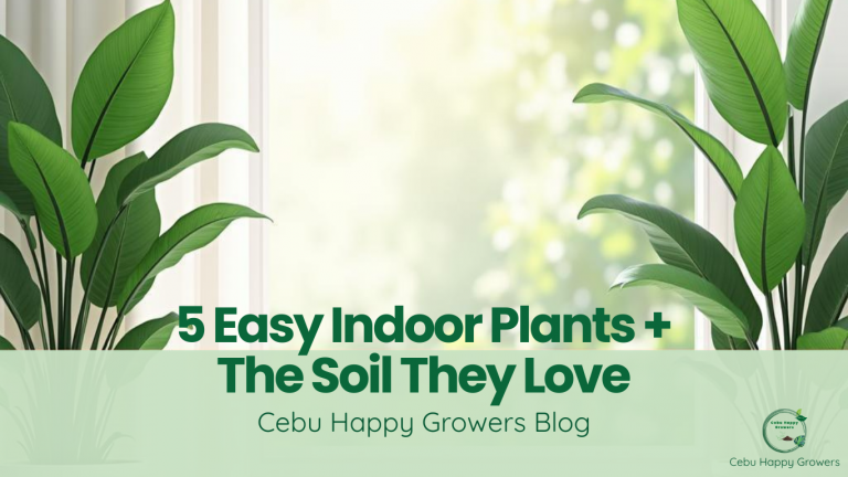 Five easy indoor plants and the soil mixes they love, Cebu Happy Growers blog cover.