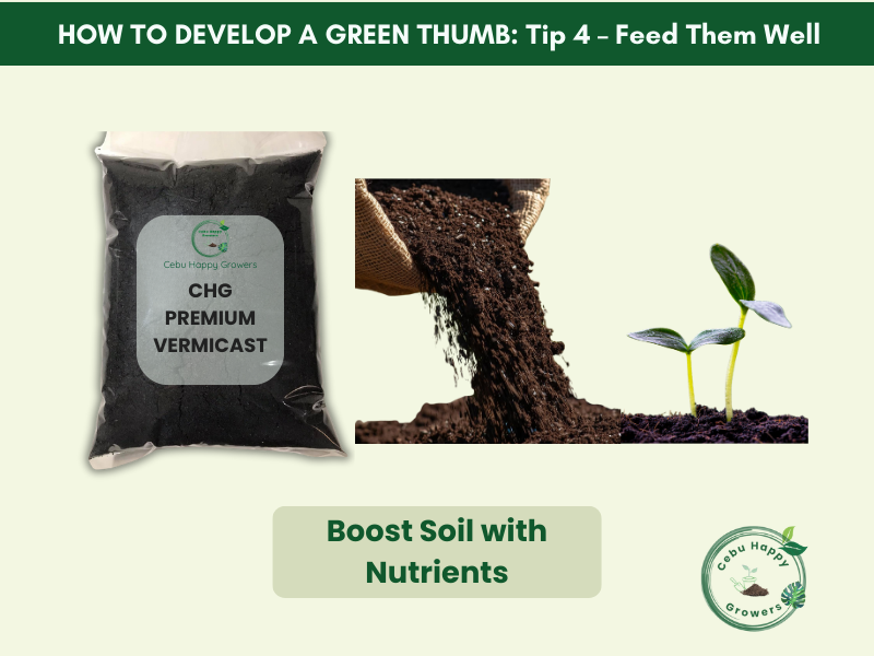 Green thumb gardening tip – feed plants with Cebu Happy Growers Vermicast and soil conditioners for healthy growth.