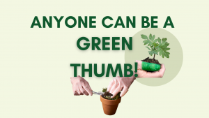 How to develop a green thumb with Cebu Happy Growers soil mixes