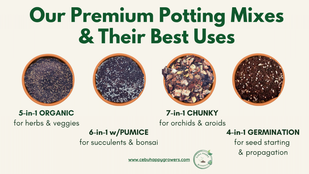 Which soil mix do you use? Cebu Happy Growers Soil Series visual showing 5-in-1 Organic, 6-in-1 with Pumice, and 7-in-1 Chunky potting mixes for different plant types.