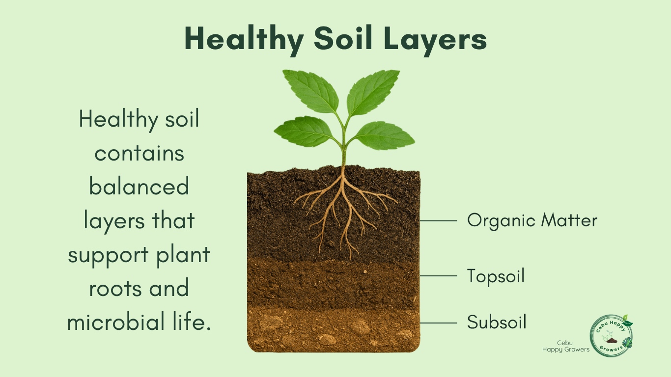 Illustration showing soil layers labeled as organic matter, topsoil, and subsoil with plant roots – Cebu Happy Growers