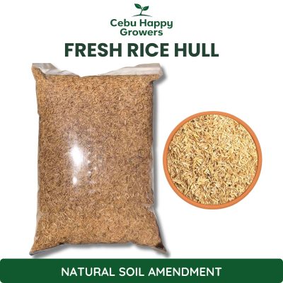 Rice Hulls – sustainable, organic soil amendment by Cebu Happy Growers that improves soil aeration, moisture retention, and nutrient absorption.