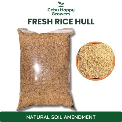 Rice Hulls – sustainable, organic soil amendment by Cebu Happy Growers that improves soil aeration, moisture retention, and nutrient absorption.