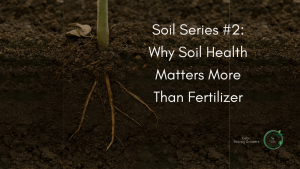 Healthy soil cross-section with plant roots and seedlings under sunlight – Cebu Happy Growers Soil Series