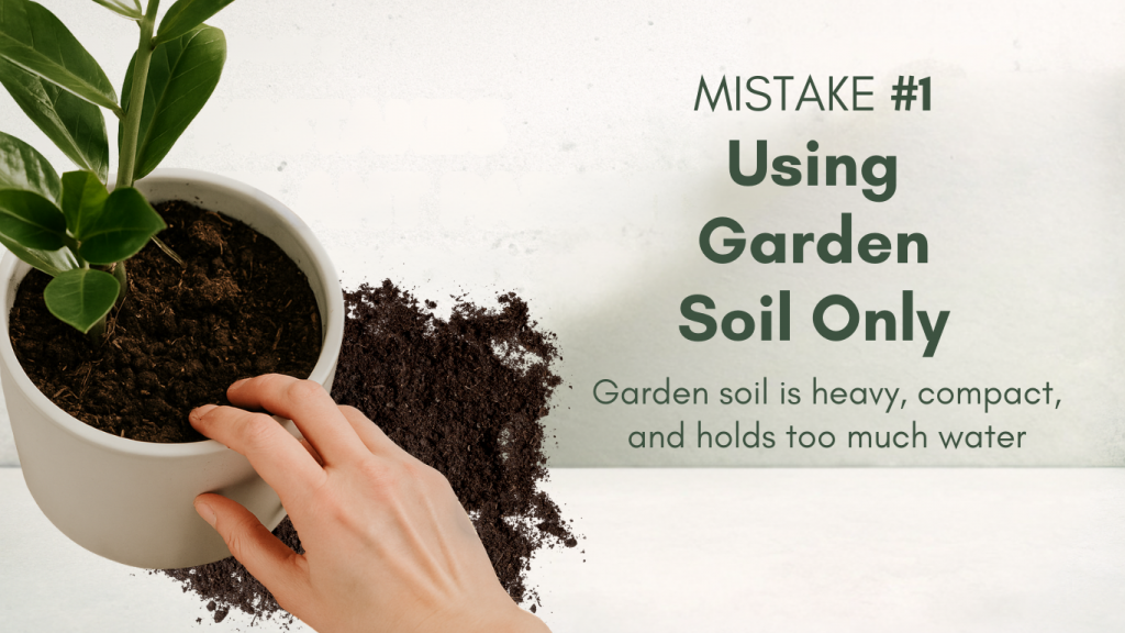 Plant in compact garden soil representing Mistake #1: using garden soil only.