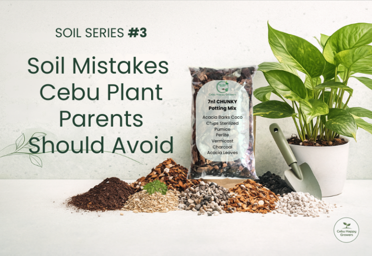 Featured banner showing soil components, plant pots, and gardening materials for CHG Soil Series Part 3 on soil mistakes Cebu plant parents should avoid.