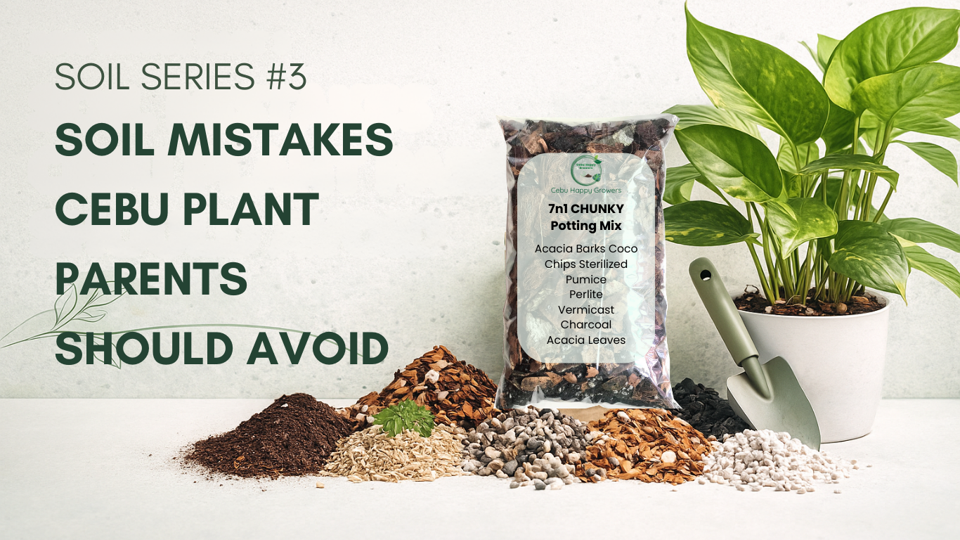 Featured image showing soil components, potted plants, and tools for CHG Soil Series Part 3: Soil Mistakes Cebu Plant Parents Should Avoid.