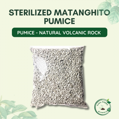 Premium Sterilized Pumice (Matanghito Size) – heat-treated volcanic rock sourced from Luzon by Cebu Happy Growers for succulents, bonsai, orchids, and aroids.