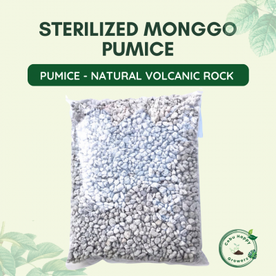 “Premium Sterilized Pumice Monggo Size – heat-treated coarse volcanic rock for drainage and soil aeration.”
