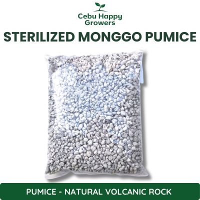 Premium Sterilized Pumice Monggo Size – heat-treated coarse volcanic rock for drainage and soil aeration.