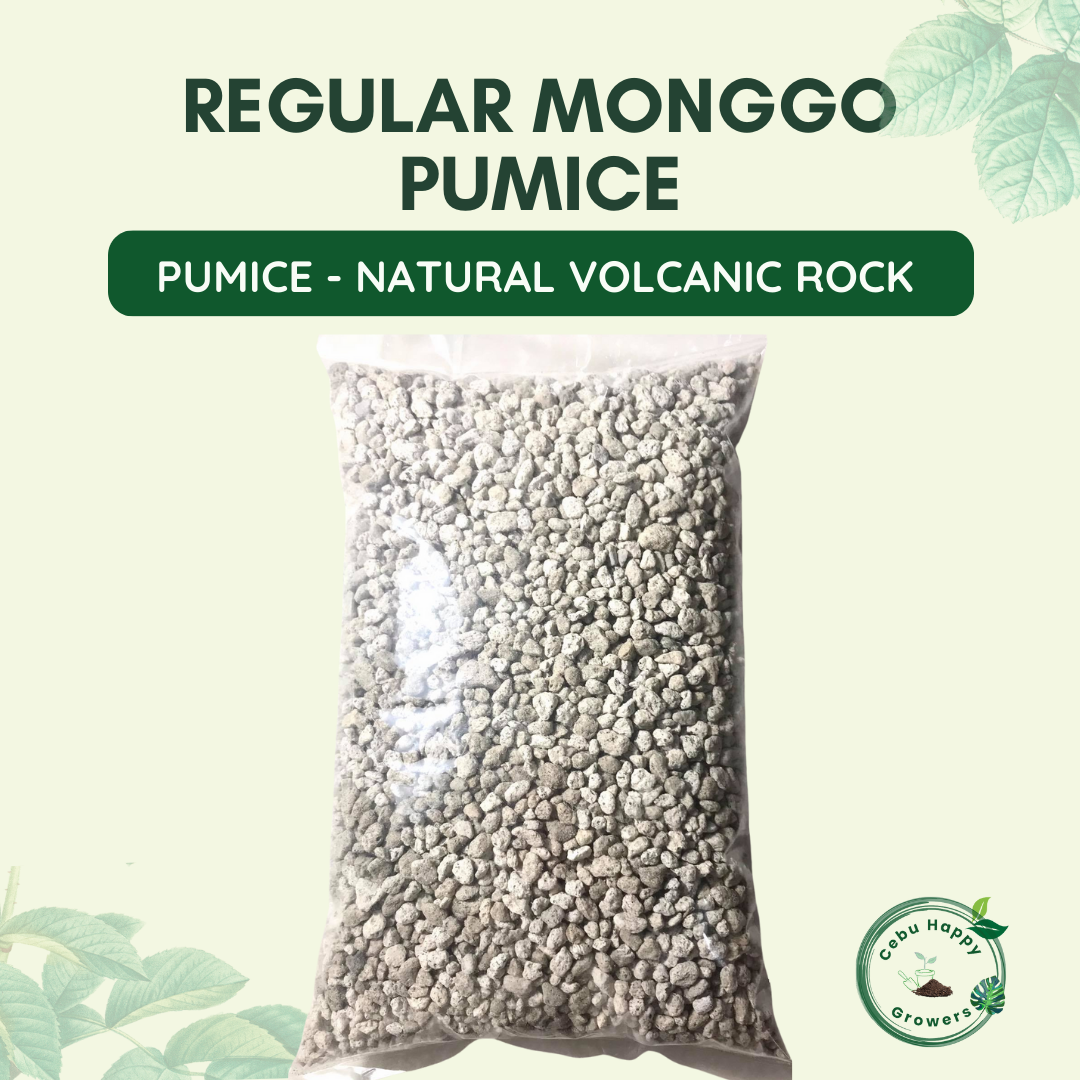 “Regular Pumice Monggo Size – coarse natural volcanic rock for soil drainage and aeration.”