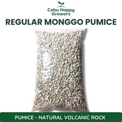 Regular Pumice Monggo Size – coarse natural volcanic rock for soil drainage and aeration.