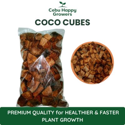 Coco cubes made from coconut husk for improved aeration, moisture retention, and healthy plant roots.