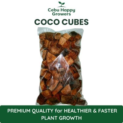 Coco cubes made from coconut husk for improved aeration, moisture retention, and healthy plant roots.