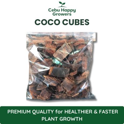 Coco cubes made from coconut husk for improved aeration, moisture retention, and healthy plant roots.