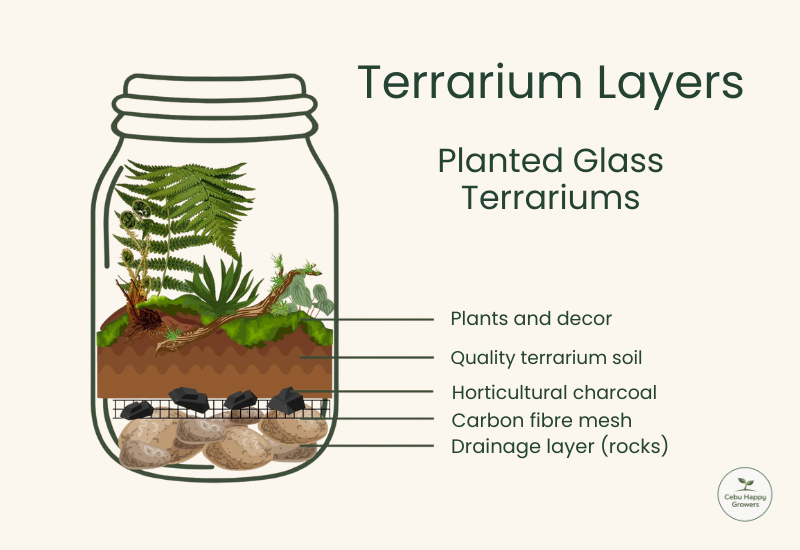 Diagram showing how to properly layer soil in a terrarium with drainage, barrier, and breathable soil layers