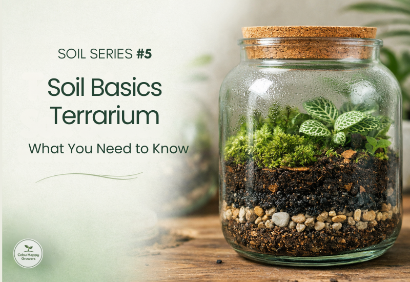 Terrarium soil layering using breathable, well-draining soil mix in a glass container