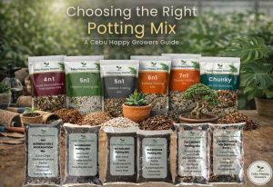 Cebu Happy Growers premium potting mix guide showing organic, soilless, and chunky soil textures