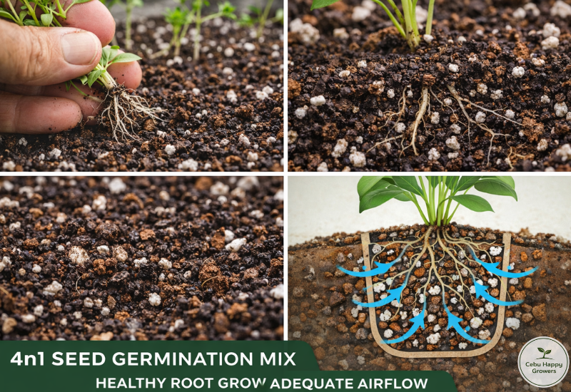 chg-4n1-seed-germination-mix-texture.jpg