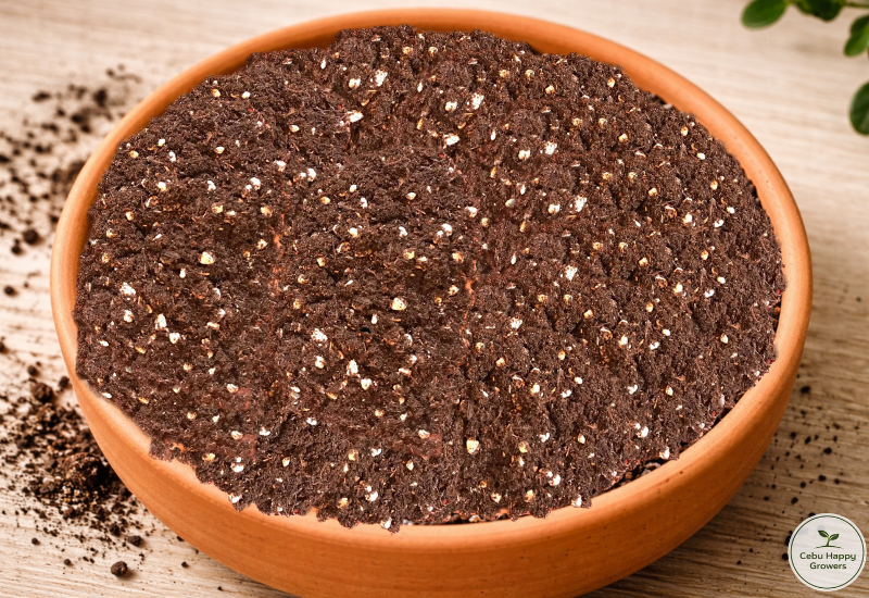 chg-4n1-seed-germination-mix-texture.jpg