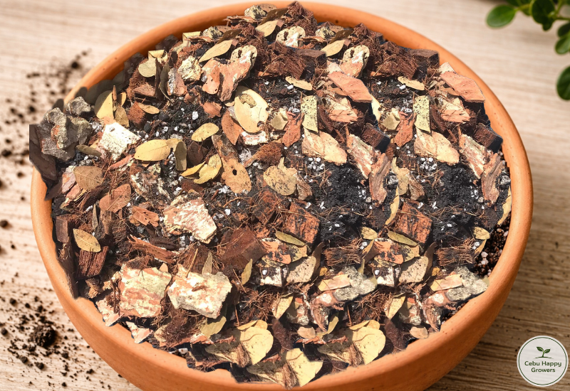 Chunky texture of Cebu Happy Growers 7n1 potting mix designed for aroid root airflow
