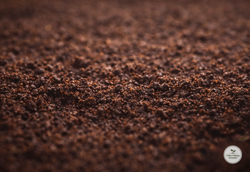 Dark, moist soil beneath the surface representing the beginning of plant growth underground.