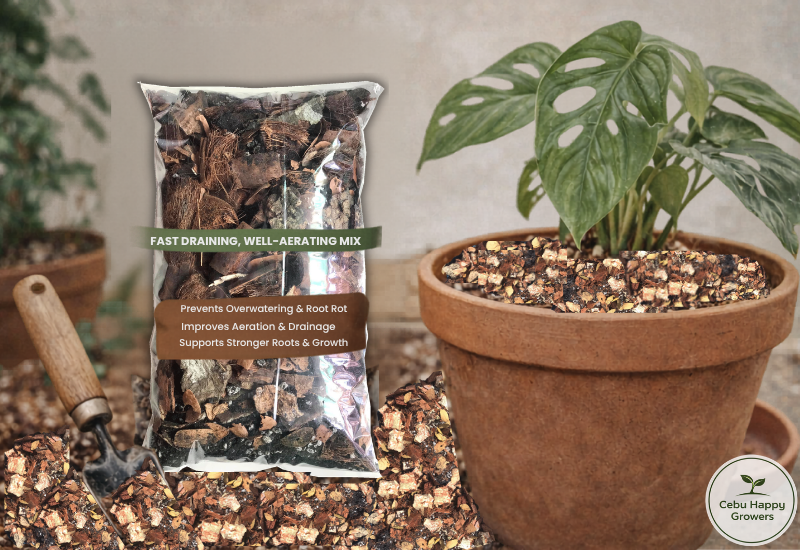 7n1 chunky soil mix by Cebu Happy Growers designed for better drainage and root aeration