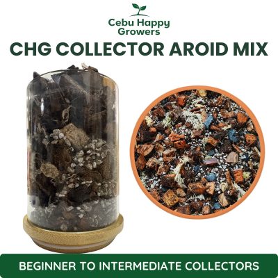 Cebu Happy Growers Collector Premium Aroid Mix chunky tropical substrate for Monsteras Philodendrons and Anthuriums