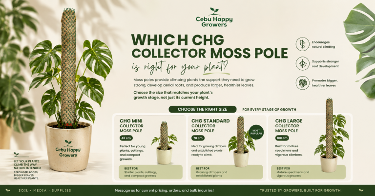 CHG Collector Moss Pole size guide showing Mini 40cm, Standard 70cm, and Large 100cm moss poles for Monstera, Philodendron, and climbing aroids.