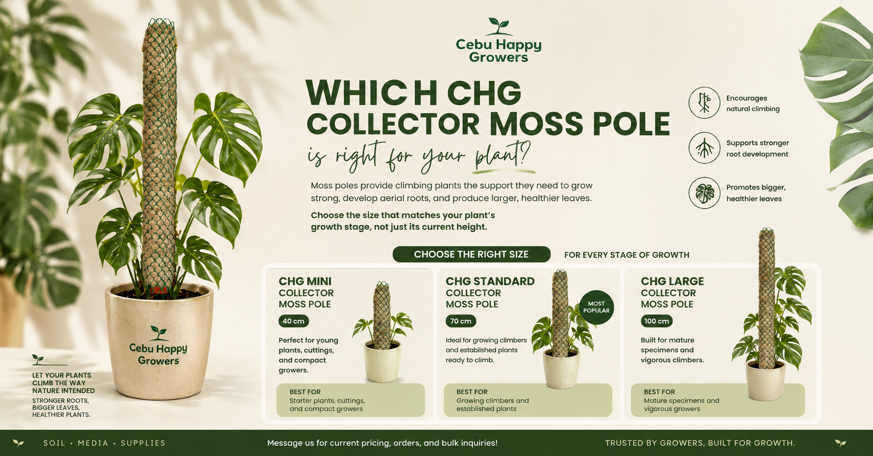 CHG Collector Moss Pole size guide showing Mini 40cm, Standard 70cm, and Large 100cm moss poles for Monstera, Philodendron, and climbing aroids.